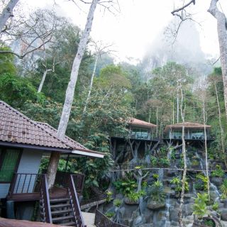 Khao Sok National Park: Overnight Treehouse Trip with Meals