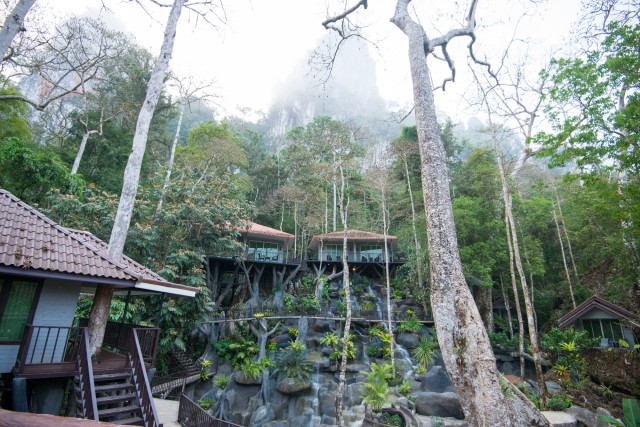 Khao Sok National Park Overnight Treehouse Trip with Meals