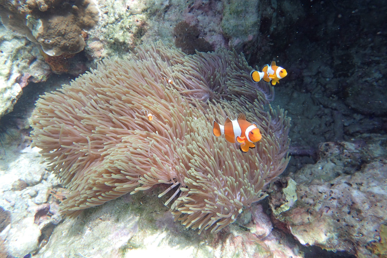 Koh Lanta: Abenteuer-Seefahrt nach Koh Rok und Koh HaaKoh Lanta: Abenteuer-Schiffstour nach Koh Rok und Koh Haa