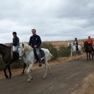Córdoba: Andalusian Countryside Horseback Riding Tour