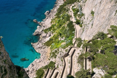 Sorrento: Capri, Anacapri & Villa San Michele Hydrofoil Tour