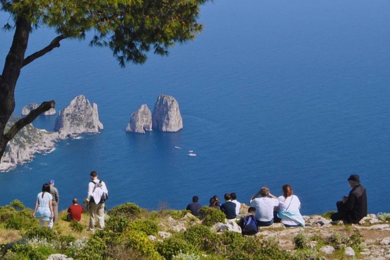 Sorrento : Capri, Anacapri et Villa San Michele en hydroptère