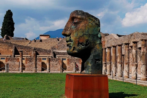Z Rzymu: Prywatna całodniowa wycieczka do Pompei z wycieczką
