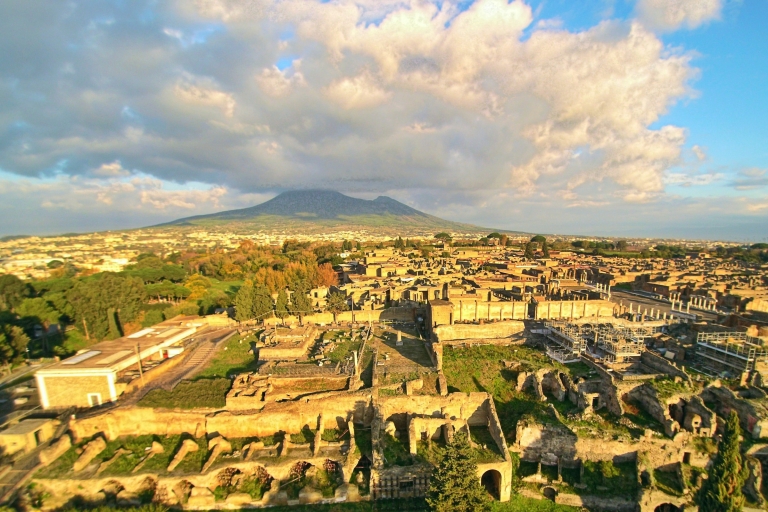 From Rome: Pompeii Private Full-Day Trip with Tour