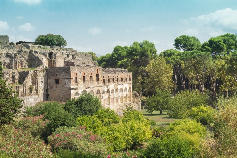 Z Rzymu: Prywatna całodniowa wycieczka do Pompei z wycieczką