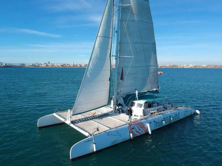 catamaran tour in valencia spain