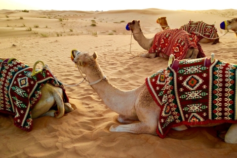 Dubaï : balade en montgolfière avec VTT, balade à dos de chameau et petit-déjeuner
