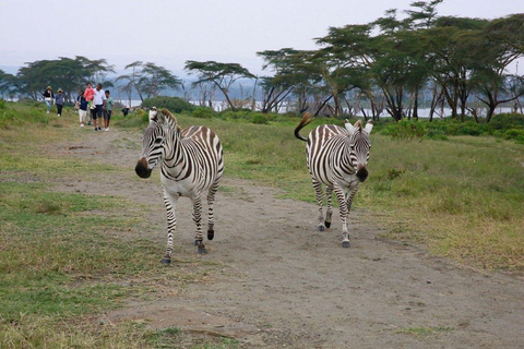 From Nairobi: Lake Naivasha, & Crescent Island Tour