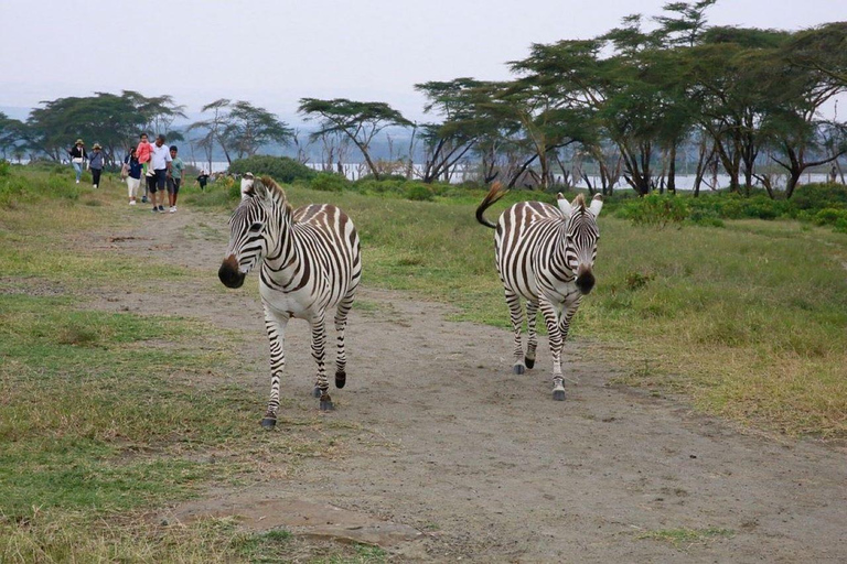 From Nairobi: Lake Naivasha, & Crescent Island Tour