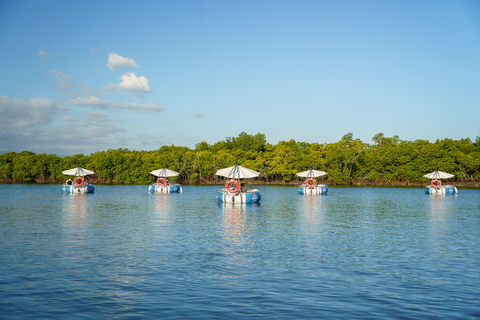 Denarau: Self Drive BBQ eBoat Cruise with Onboard BBQ Fiji Self-Drive Cruise with optional BBQ onboard