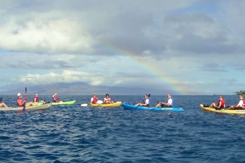 Olowalu: plongée en apnée, baleines et excursion en kayak sur le récif des tortues