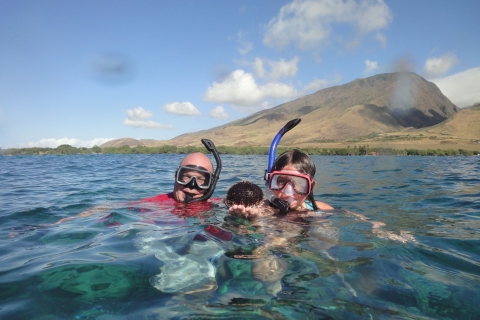 Olowalu: Snorkeling, Whales, and Turtle Reef Kayak Trip