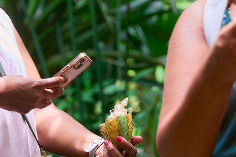 Cahuita National Park+Bribri Chocolate Tour+Waterfalls Tour+Lunch