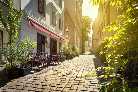 Vienna: tour privato di degustazione di birra austriaca nel centro storico2 ore: tour della birra con 4 birre