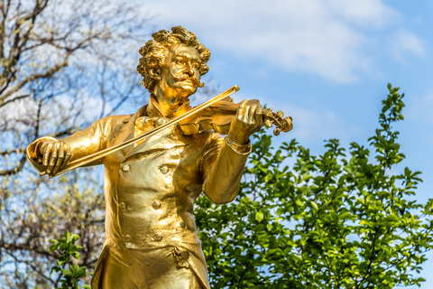 Wien: Treffen Sie Strauss Private Guided Walking Tour3-stündige private Führung