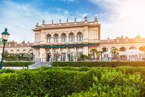 Vienna: Incontra il tour guidato a piedi privato di StraussTour guidato privato di 3 ore