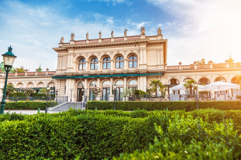 Vienna: Incontra il tour guidato a piedi privato di StraussTour guidato privato di 3 ore