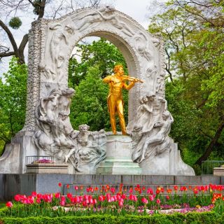 Vienna: Meet Strauss Private Guided Walking Tour