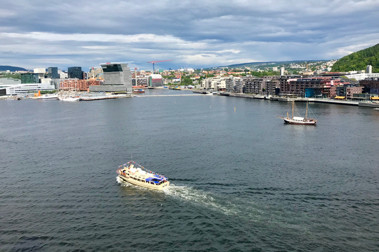 Oslo: Norwegian Explorers and Culture 3 Museum Tour Oslo: Norwegian Explorers 3 Museum Tour: Vikings to Today