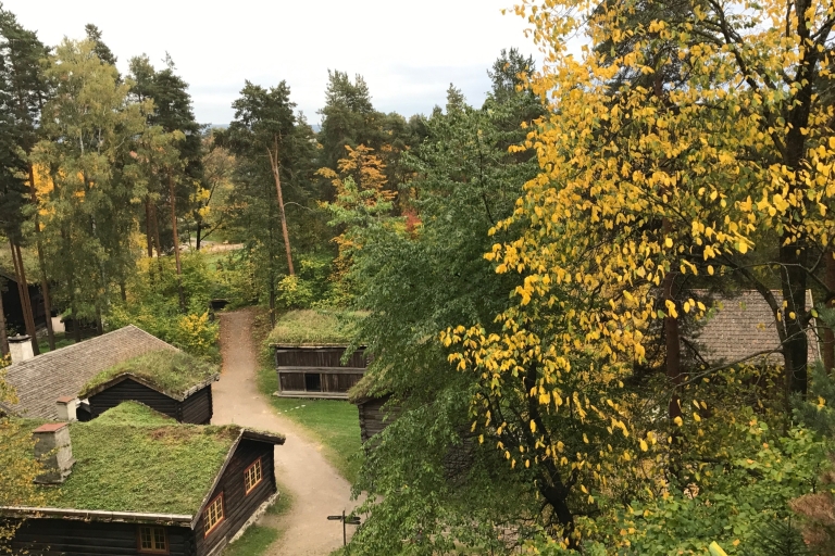 Oslo: Norwescy odkrywcy i kultura 3 zwiedzanie muzeumOslo: Norwegian Explorers 3 Museum Tour: Vikings to Today
