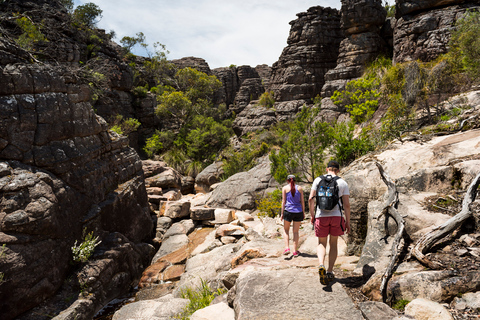 Desde Melbourne: Parque Nacional de los Grampians y Canguros