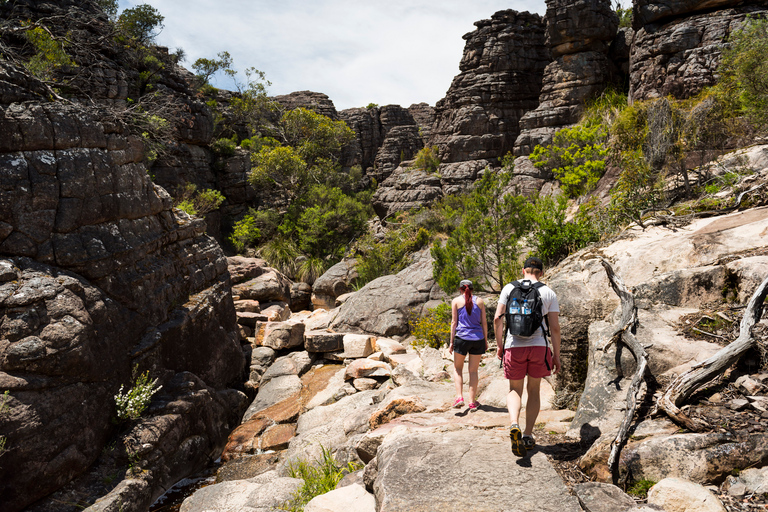 Vanuit Melbourne: Grampians National Park & Kangoeroes