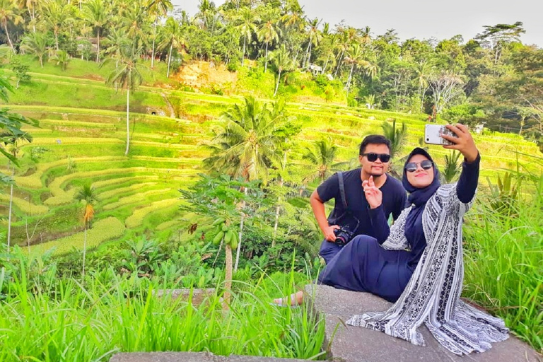 Bali: Nature, Art, History and Culture Small Group Tour Private Tour with Entrance Fees