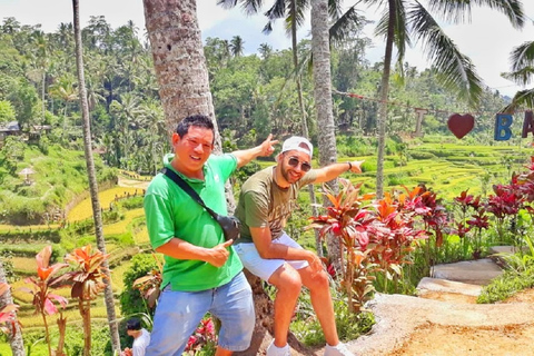 Bali: Nature, Art, History and Culture Small Group Tour Private Tour with Entrance Fees