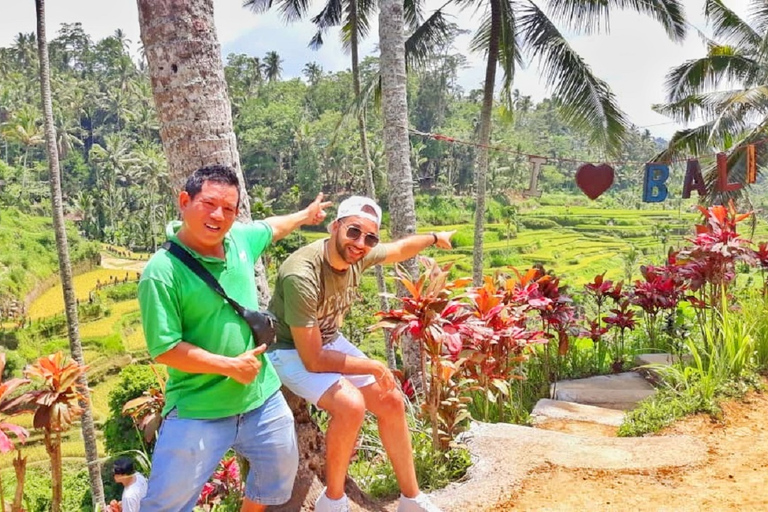 Bali: Nature, Art, History and Culture Small Group Tour Private Tour with Entrance Fees