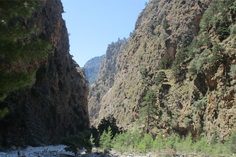 From Heraklion, Agia Pelagia, Malia: Samaria Gorge Day TripPickup from Heraklion, and Ammoudara