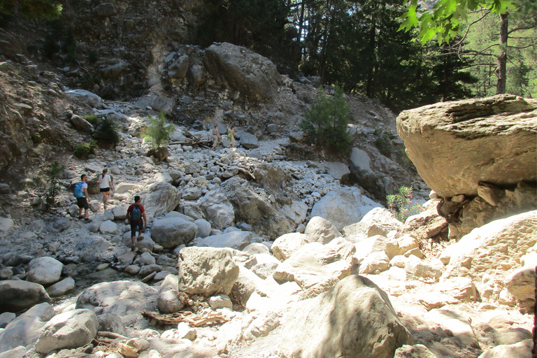 Samaria Gorge: Day Trip from Agia Pelagia, Heraklion & Malia Pickup from Heraklion, and Ammoudara