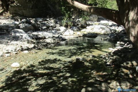 Ab Agia Pelagia, Iraklio & Malia: Samaria-Schlucht-TagestourAbholung in Iraklio und Ammoudara