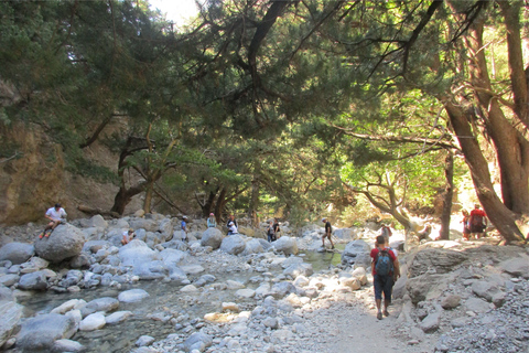 Ab Agia Pelagia, Iraklio & Malia: Samaria-Schlucht-TagestourAbholung in Iraklio und Ammoudara