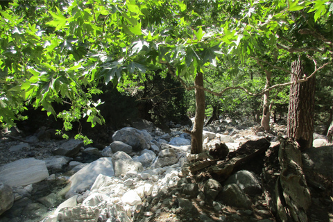 Garganta de Samaria: Excursión de un día desde Agia Pelagia, Heraklion y MaliaRecogida en Agia Pelagia, Lygaria y Fodele