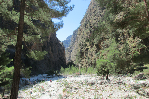 From Heraklion, Agia Pelagia, Malia: Samaria Gorge Day TripPickup from Heraklion, and Ammoudara