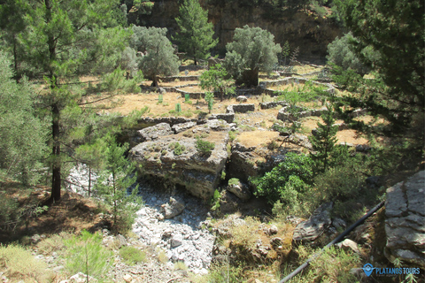 Ab Agia Pelagia, Iraklio & Malia: Samaria-Schlucht-TagestourAbholung in Iraklio und Ammoudara