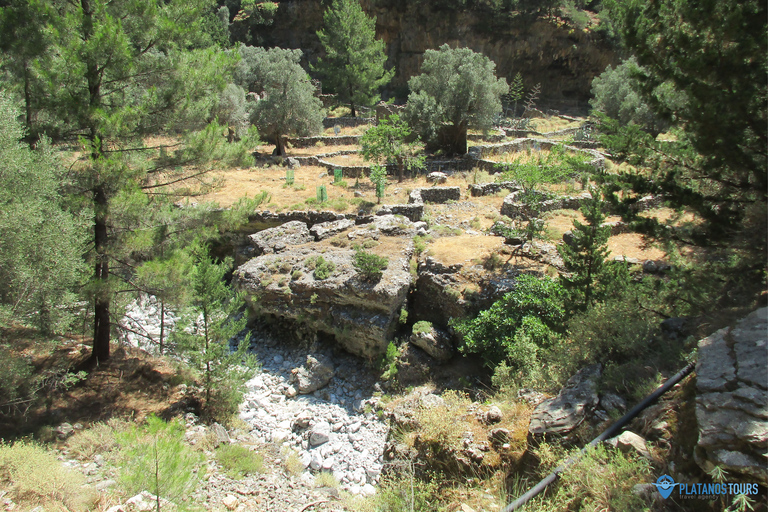 Da Heraklion, Agia Pelagia, Malia: Escursione alle Gole di SamariaPrelievo da Agia Pelagia, Lygaria e Fodele