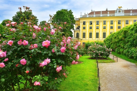 Wien: Private Tour durch Schloss Schönbrunn ohne Anstehen3,5-Stunden: Große Tour durch Schloss & Garten mit Transport