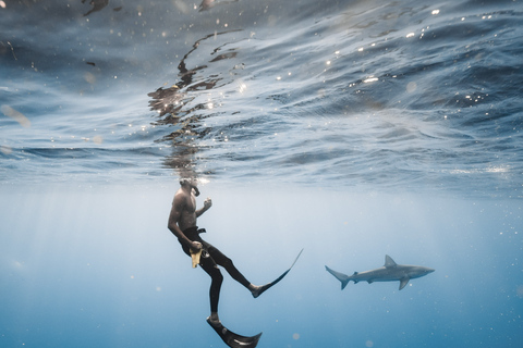 Oahu: Cage-Free Shark Diving Adventure Oahu: Cage-Free Shark Diving Adventure with Photos