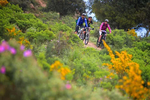 Ramatuelle: Tour delle cantine con percorsi e degustazioni in Mountain E-Bike