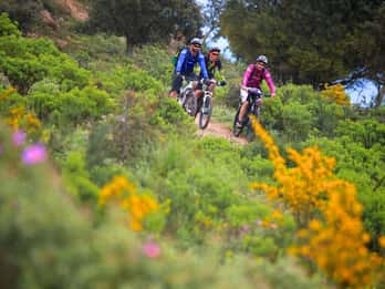 Ramatuelle: Tracks & Tasting Winery Tour by Mountain E-Bike