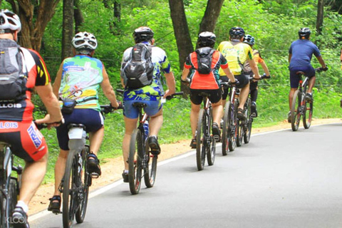 Bentota: Toddy-Jagd-Radtour in der Landschaft