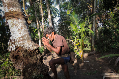 Bentota: Toddy-Jagd-Radtour in der Landschaft