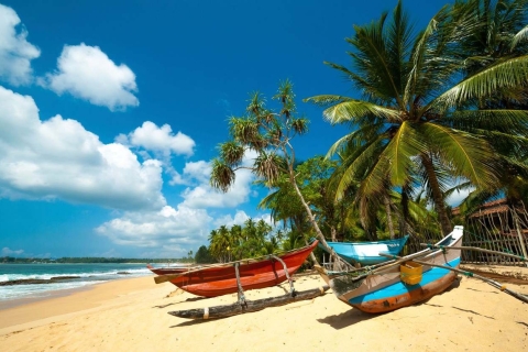 Sri Lanka: huwelijksreis op Paradise Island All-inclusive reis