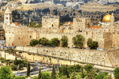 Desde Jerusalén: excursión de un día a los orígenes de Cristo en Jerusalén