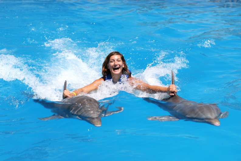 Cozumel : baignade royale avec les dauphins