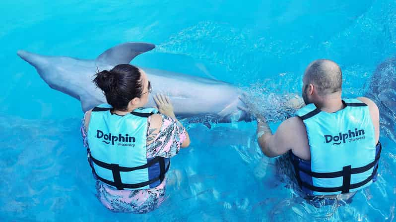 Cozumel: Dolphin Royal Swim | GetYourGuide