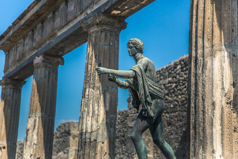 Pompeii: Private Guided Tour with Pick-up Private Tour in French from Positano
