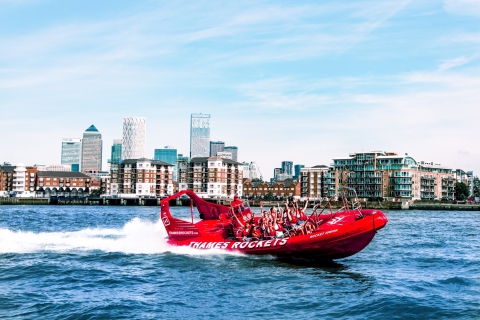 Londyn: Przyjazna rodzinom wycieczka łodzią motorową po TamiziePojedynczy bilet