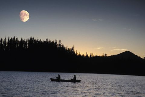 Bend: Moonlight and Starlight Canoe Tour